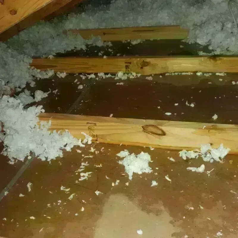 Attic Water Damage in Carlisle, AR