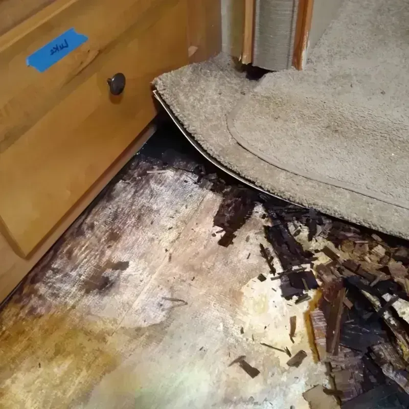 Wood Floor Water Damage in Carlisle, AR